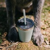 image:imageCUPKIN Stackable Stainless Steel Kids Cup Smoothie Tumbler Powder Coated Insulated Tumblers BPA Free Lid and Silicone Straw 8 Fl Oz Pack of 1 Bright BlueAqua  Periwinkle